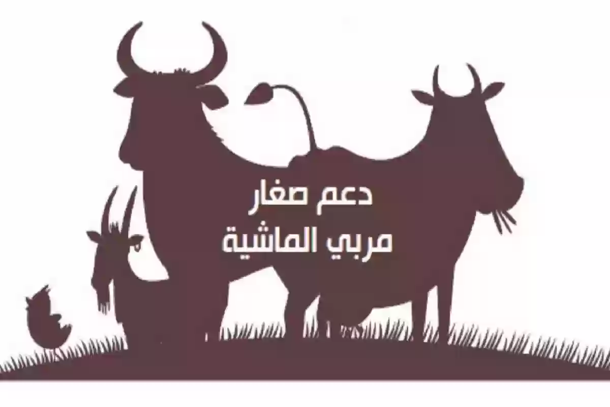 دعم صغار مربي المواشي في السعودية