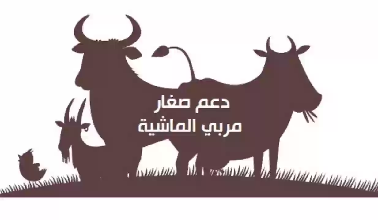 أبرز شروط الحصول على دعم المواشي في السعودية 2024 وكيفية الاستعلام عن الدعم